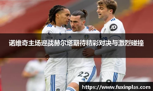 诺维奇主场迎战赫尔塔期待精彩对决与激烈碰撞